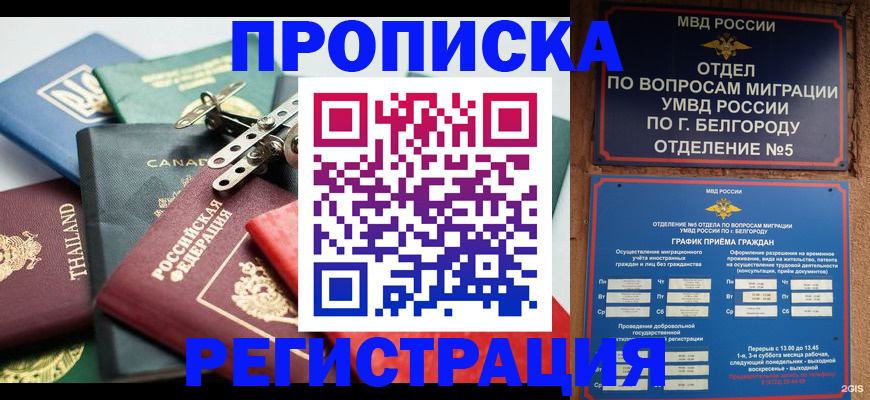 временная регистрация недорого в Вельске